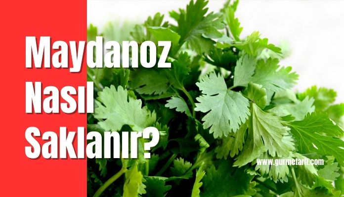 Maydanoz buzdolabında, buzlukta bozulmadan uzun süre nasıl saklanır?