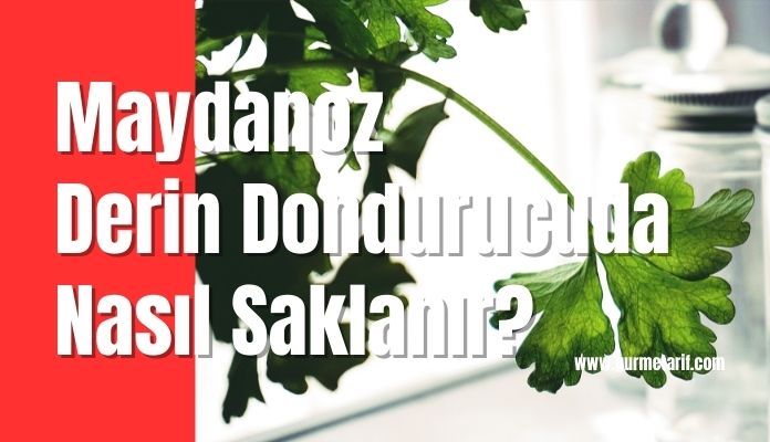 maydanoz buzlukta, derin dondurucuda nasıl saklanır?