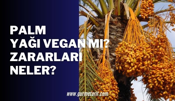 Palm yağı neden vegan değil? Palm yağının zararları nelerdir?