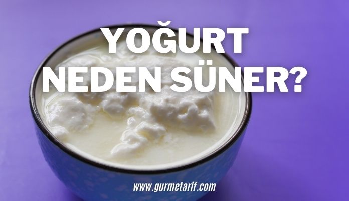 Yoğurt neden süner? Sünen yoğurt yenir mi? Zararlı mıdır?